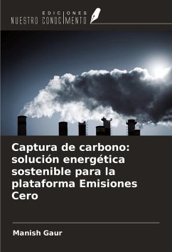 Cover Captura de carbono: solución energética sostenible para la plataforma Emisiones Cero