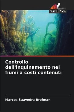 Controllo dell'inquinamento nei fiumi a costi contenuti - Saavedra Brofman, Marcos