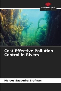 Cost-Effective Pollution Control in Rivers - Saavedra Brofman, Marcos