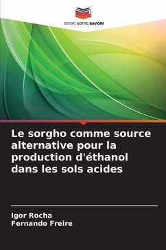Le sorgho comme source alternative pour la production d'éthanol dans les sols acides - Rocha, Igor;Freire, Fernando