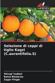 Selezione di ceppi di tiglio Kagzi (C.aurantifolia.S)