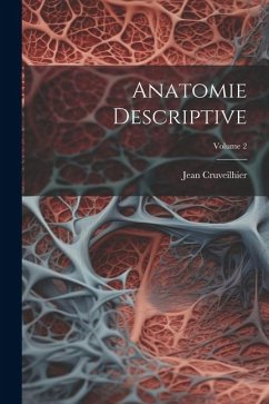 Anatomie Descriptive; Volume 2 - Cruveilhier, Jean