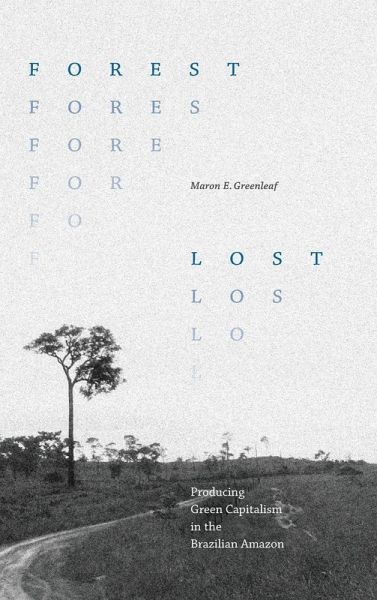 Forest Lost