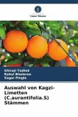 Auswahl von Kagzi-Limetten (C.aurantifolia.S) Stämmen