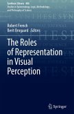 The Roles of Representation in Visual Perception