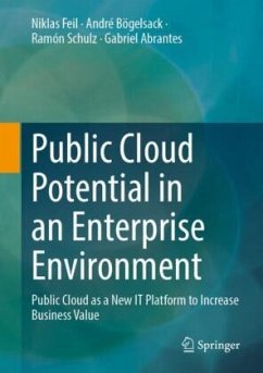 Public Cloud Potential in an Enterprise Environment - Feil, Niklas;Bögelsack, André;Schulz, Ramón