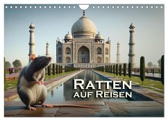 Ratten auf Reisen (Wandkalender 2025 DIN A4 quer), CALVENDO Monatskalender