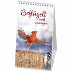 Beflügelt und geborgen