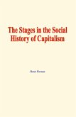 The stages in the social history of capitalism (eBook, ePUB)