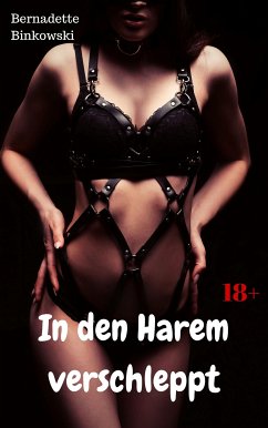 In den Harem verschleppt (eBook, ePUB) - Binkowski, Bernadette