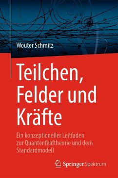 Teilchen, Felder und Kräfte (eBook, PDF) - Schmitz, Wouter