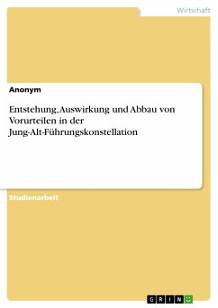 Entstehung, Auswirkung und Abbau von Vorurteilen in der Jung-Alt-Führungskonstellation (eBook, PDF)