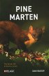 Pine Marten - Bild 1