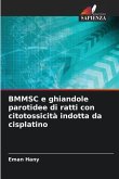 BMMSC e ghiandole parotidee di ratti con citotossicità indotta da cisplatino