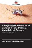 Analyse géospatiale de la dengue à João Pessoa, Cabedelo et Bayeux