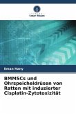 BMMSCs und Ohrspeicheldrüsen von Ratten mit induzierter Cisplatin-Zytotoxizität