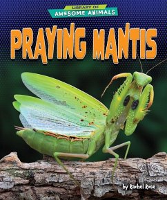 Praying Mantis - Rose, Rachel