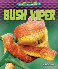 Bush Viper - Rose, Rachel