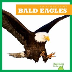 Bald Eagles - Grack, Rachel