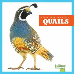 Quails - Grack, Rachel