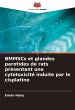 BMMSCs et glandes parotides de rats... - Bild 1