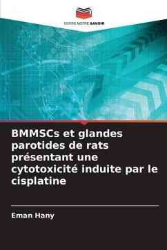 BMMSCs et glandes parotides de rats présentant une cytotoxicité induite par le cisplatine - Hany, Eman