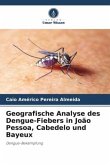 Geografische Analyse des Dengue-Fiebers in João Pessoa, Cabedelo und Bayeux