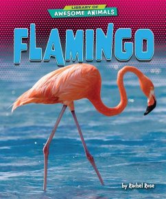 Flamingo - Rose, Rachel