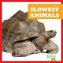 Slowest Animals - Austen, Lily