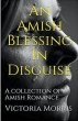 An Amish Blessing In Disguise - Bild 1