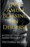 An Amish Blessing In Disguise
