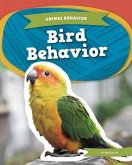Bird Behavior