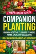 Companion Planting for Beginners - Bild 1