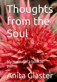 Thoughts From The Soul: My Journal In A Book Of Poems (eBook, ePUB)