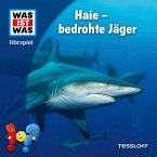 WAS IST WAS Hörspiel. Haie - bedrohte Jäger (MP3-Download)