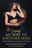 Losing My Wife To Another Man - Three Interracial Cuckold Novellas: Flash of Stocking Collection 3 (eBook, ePUB)