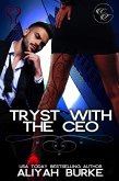 Tryst with the CEO (Cottonwood Falls, #9) (eBook, ePUB)