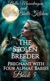 The Stolen Breeder (Pregnant With Four Alphas' Babies, #5) (eBook, ePUB)