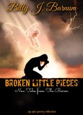 Broken Little Pieces New Tales from The Baron (eBook, ePUB)