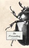 Die Verwandlung - Kafkas Meisterwerk (eBook, ePUB)