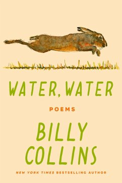 Cover Water, Water (eBook, ePUB)
