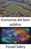 Economía del bien público (eBook, ePUB)