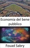 Economia del bene pubblico (eBook, ePUB)