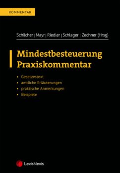 Mindestbesteuerung - Djakovic, Ana;Hebenstreit, Birgit;Knesl, Pavel;Schilcher, Michael;Mayr, Gunter;Riedler, Martin