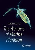 The Wonders of Marine Plankton (eBook, PDF)