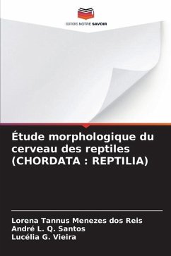 Étude morphologique du cerveau des reptiles (CHORDATA : REPTILIA) - Tannus Menezes dos Reis, Lorena;L. Q. Santos, André;G. Vieira, Lucélia