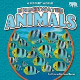 Underwater Animals