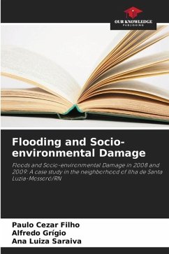 Flooding and Socio-environmental Damage - Cezar Filho, Paulo;Grígio, Alfredo;Saraiva, Ana Luiza