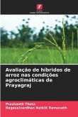 Avaliação de híbridos de arroz nas condições agroclimáticas de Prayagraj