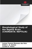 Morphological Study of the Reptile Brain (CHORDATA: REPTILIA)